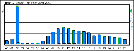 Hourly usage