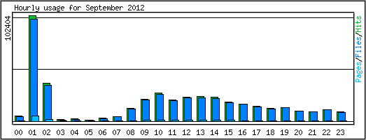 Hourly usage