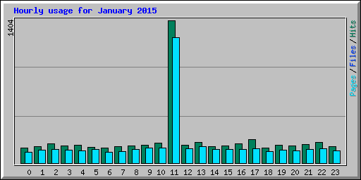 Hourly usage for January 2015